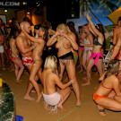 Intoxicated babes drilled (6)
